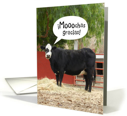 Funny Spanish/English Thank You card (899359)