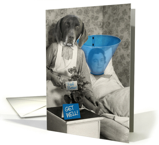 Funny Dog Nurse with Patient Get Well card (901434)