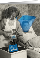 Funny Dog Nurse with Patient Get Well Card