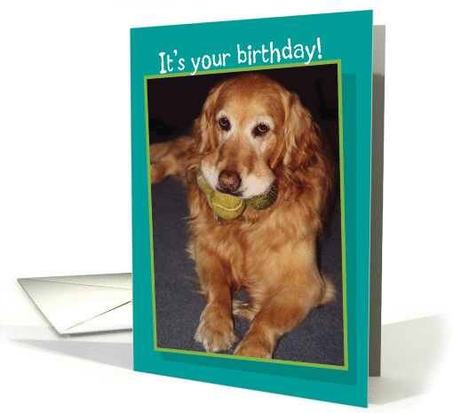 Adult Birthday For Him, Funny Golden Retriever with 3... (905719)
