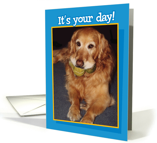 Funny Adult Birthday, Golden Retriever with 3 Tennis Balls card