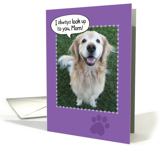 Happy Mother's Day from a Golden Retriever card (922067)