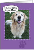 Happy Mother’s Day from a Golden Retriever card
