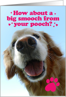 Happy Mother’s Day from a Golden Retriever Pooch card