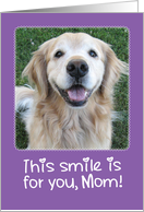 Smiling Golden Retriever Mother’s Day Card