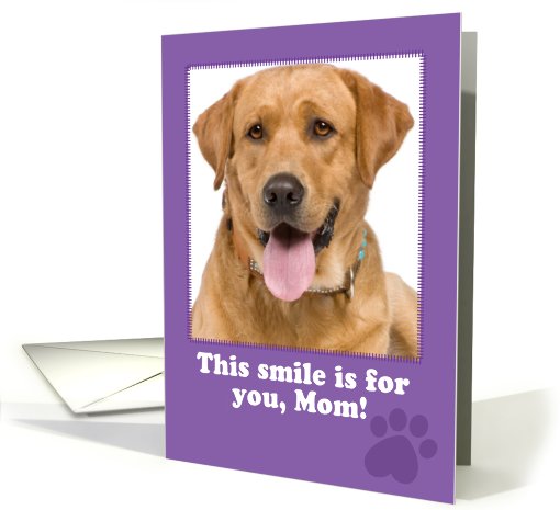 From Your Dog Mother's Day Photo card (922899)