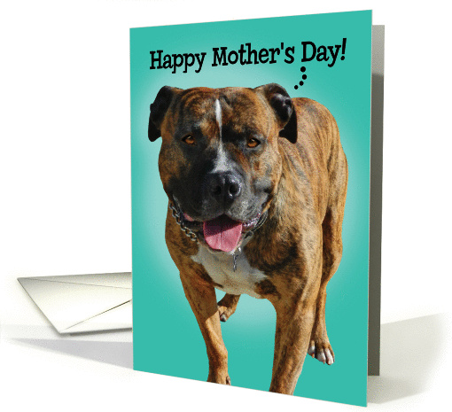 Mother's Day Card From Your Awesome Pitbull card (929093)