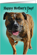 Mother’s Day Card From Your Awesome Pitbull card
