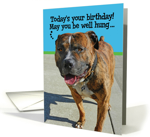 Funny Well-Hung Pitbull Birthday Greeting card (929094)