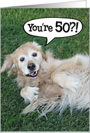 Funny Golden Retriever 50th Birthday Card