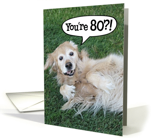 Funny Golden Retriever 80th Birthday card (932873)