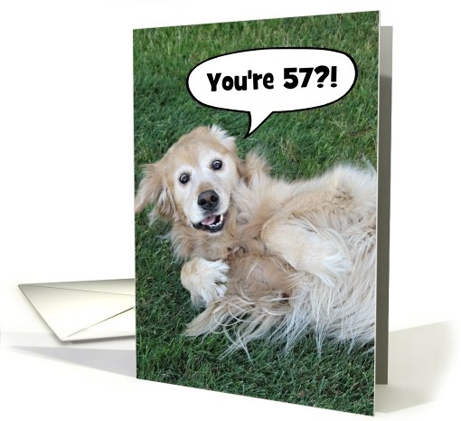 Funny Golden Retriever Custom Age Birthday card (932874)