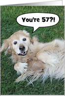 Funny Golden Retriever Custom Age Birthday Card