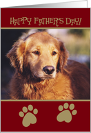 Golden Retriever Happy Father’s Day Card