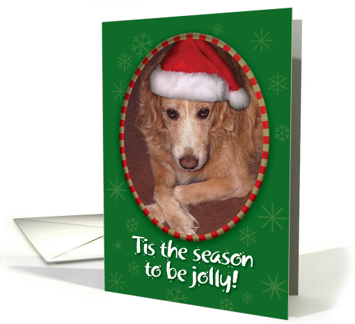 Bark! Humbug! Dog with Attitude Christmas card (943409)