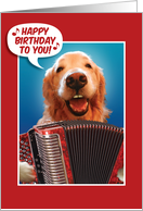 Golden Retriever Singing Happy Birthday and Playing Accordion card