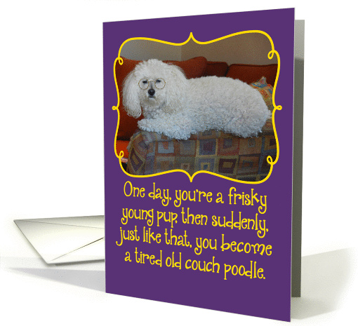 Funny Old Couch Poodle Birthday card (998449)
