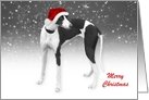 Whippet - Merry Christmas card