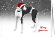 Whippet - Merry Christmas card