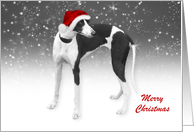 Whippet - Merry...