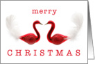 MERRY CHRISTMAS - red swan couple card