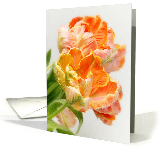 Happy Birthday - Rich Orange Tulips card (1352452)