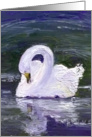 Swan with Reflections Blank Card