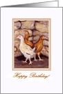 Pullets Birthday card