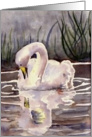 Evening Swan blank note card