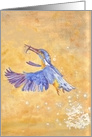 Kingfisher Blank Note Card