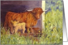 Highland Cow and Calf Blank Note card