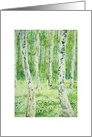 Norwegian Wood, Blank Any Occasion card