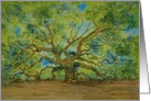 Angel Oak, any occasion, blank note card