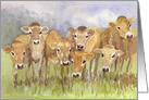 Curious Calves Blank Inside Card