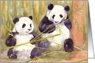 Pandas Blank Inside Greetings Card