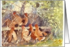 Chickens in the Hedge Blank Greetings Card