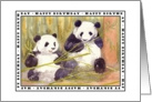 Pandas Birthday Card