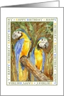 Macaws Birthday card