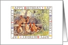 Happy Birthday, Chickens in the Hedge Ca card