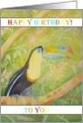 Toucan Birthday Card