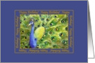 Peacock Birthday Card
