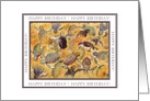 Happy Birthday, Turtles Watercolor card