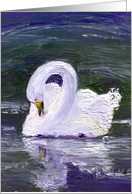 Swan with Reflections Blank Card