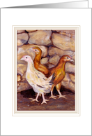 Pullets Blank Greeting card