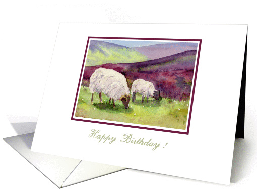 Moorland Sheep and Lamb Birthday card (1204448)