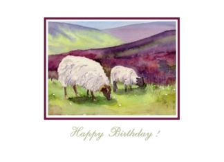 Moorland Sheep and...