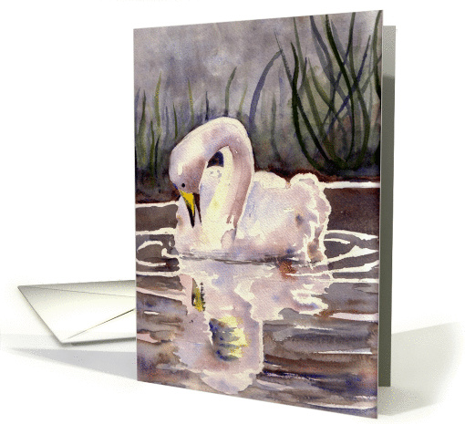 Evening Swan blank note card (1296598)