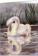 Evening Swan blank note card