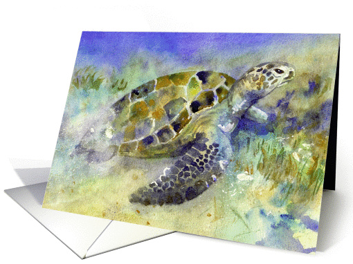 Green Sea Turtle Note card (1342776)