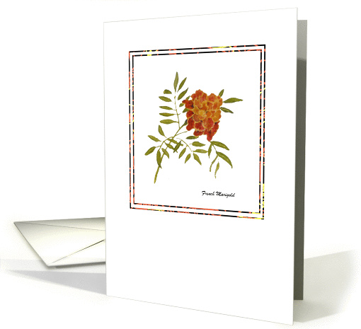 French Marigold card (1342778)